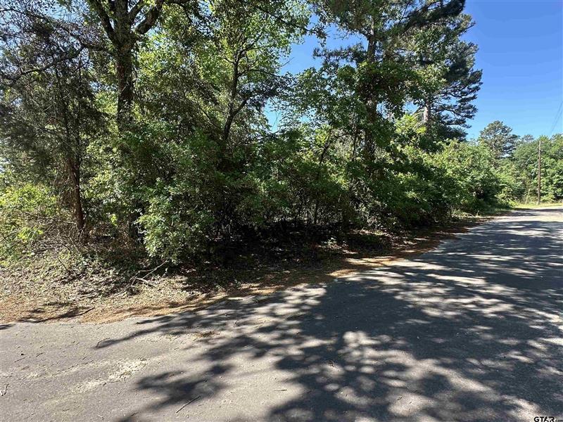 TBD  Lot 261 & 316 King Lake Rd Scroggins TX 75480 Mt Vernon