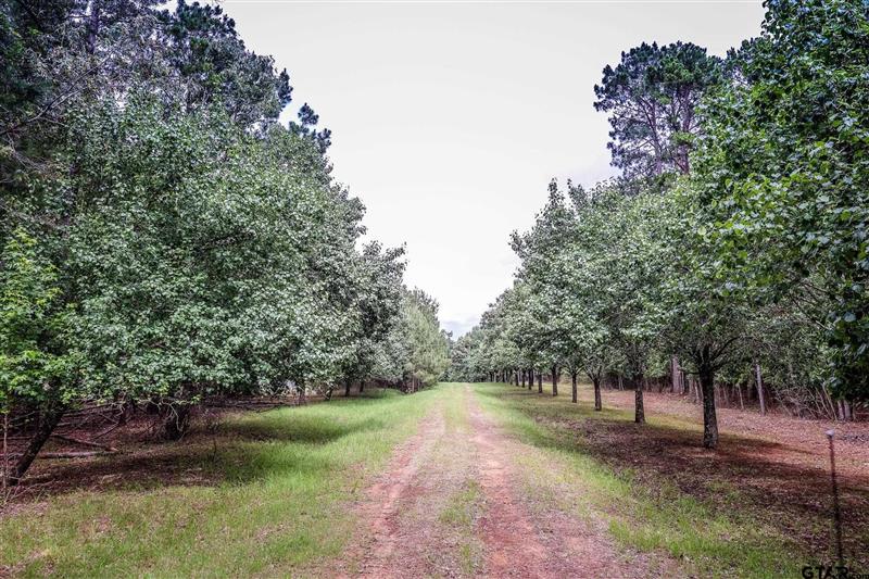 2188  HARKINS LN Marshall TX 75672 Marshall
