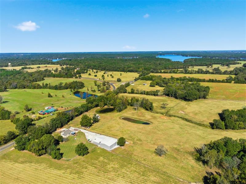 10495  FM 115 Scroggins TX 75480 Mt Vernon