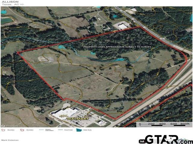 10 AC NW LOOP 436/COTTAGE RD/HWY 149 Carthage TX 75633 Carthage