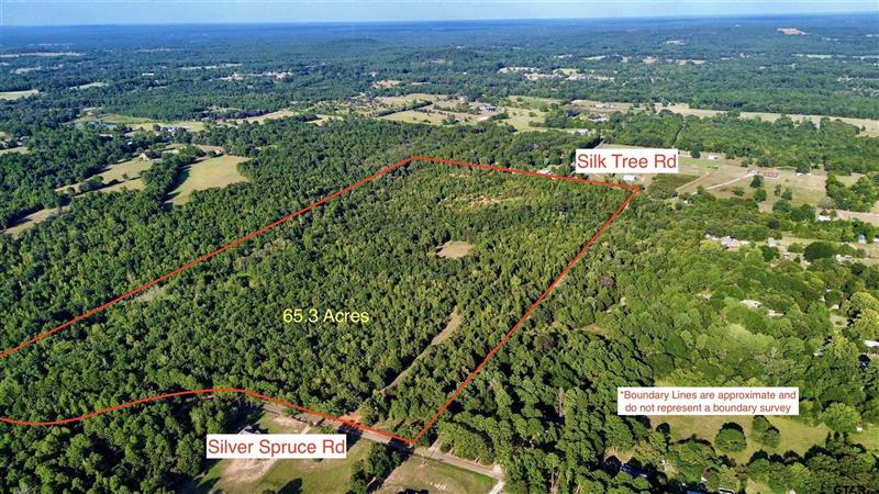 TBD  Silver Spruce Rd Gilmer TX 75645 Union Grove